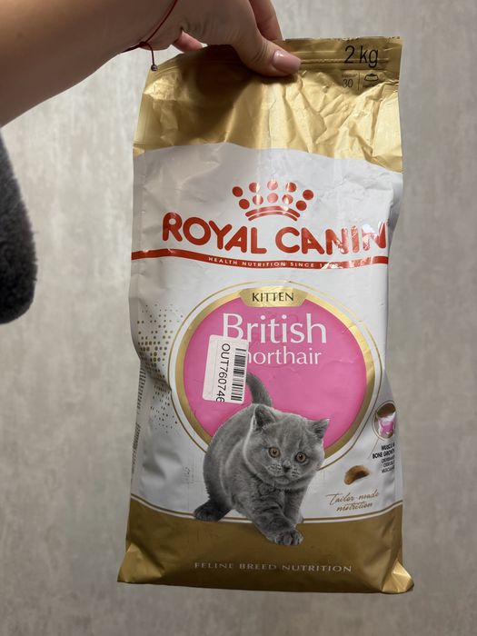 Royal Canin british для кошенят