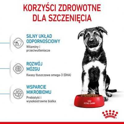 Karma dla psa sucha Royal Canin Maxi Junior 15kg