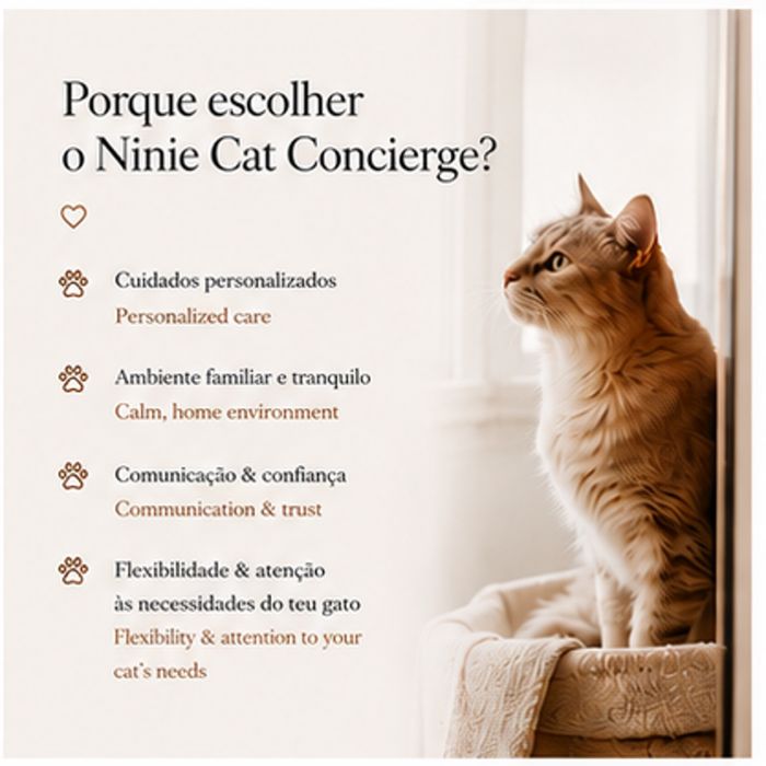 Catsitter Lisboa