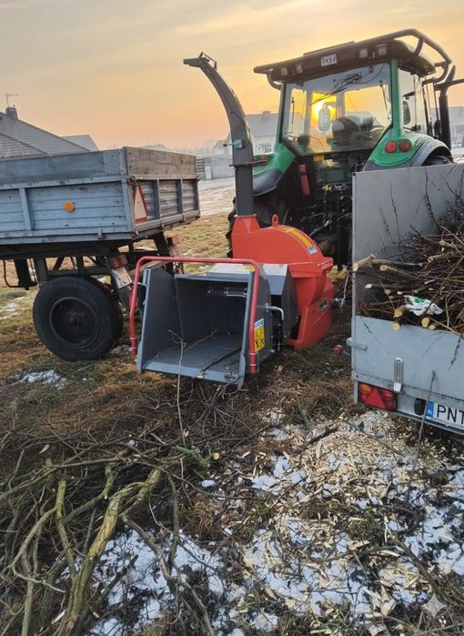 Wycinka Drzew. Usługi Ogrodnicze. Transport drewna.