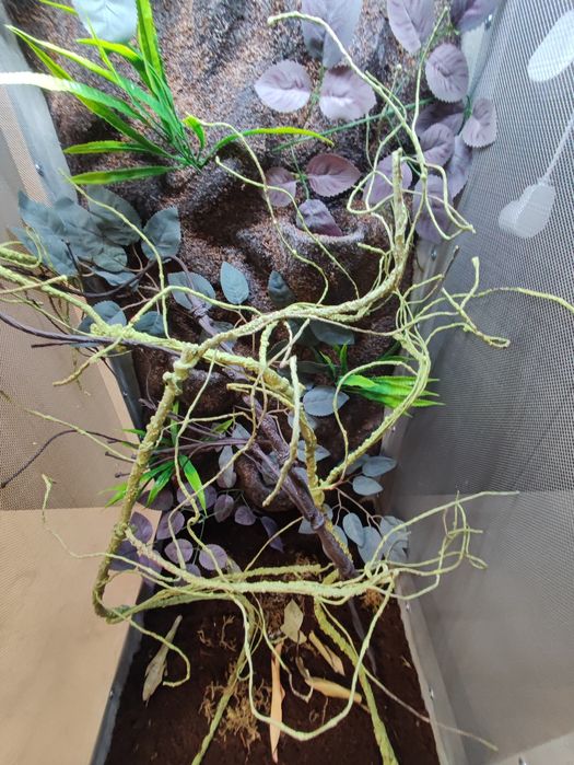 Terrarium dla kameleona 100x50x50 nowe WOŁOMIN