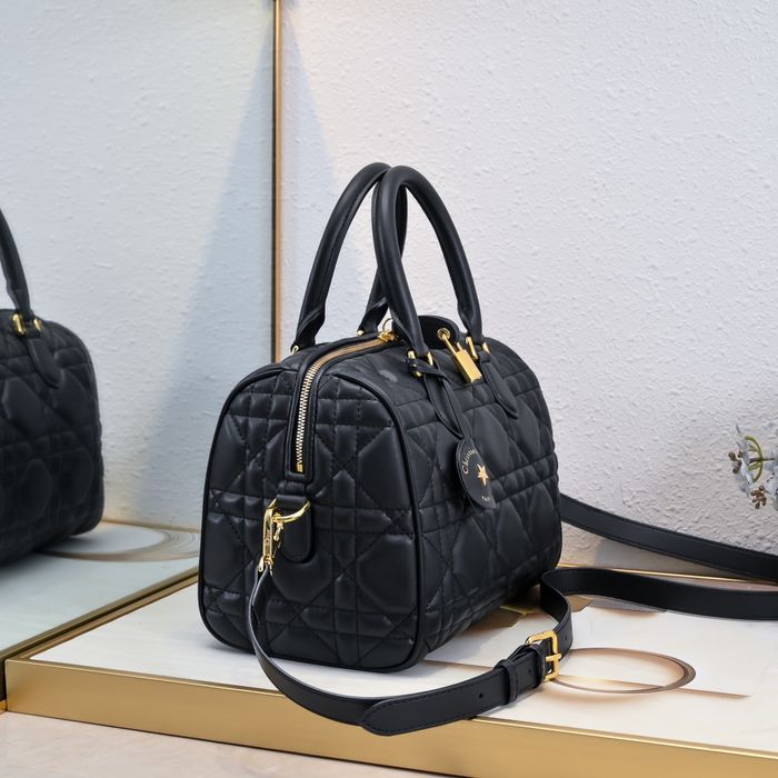 DIR Жіноча сумка Louis Vuitton