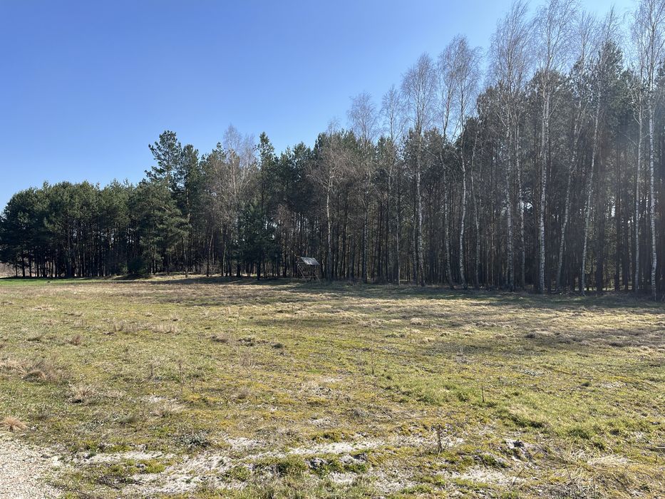 Działka budowlana Kotwasice przy lesie