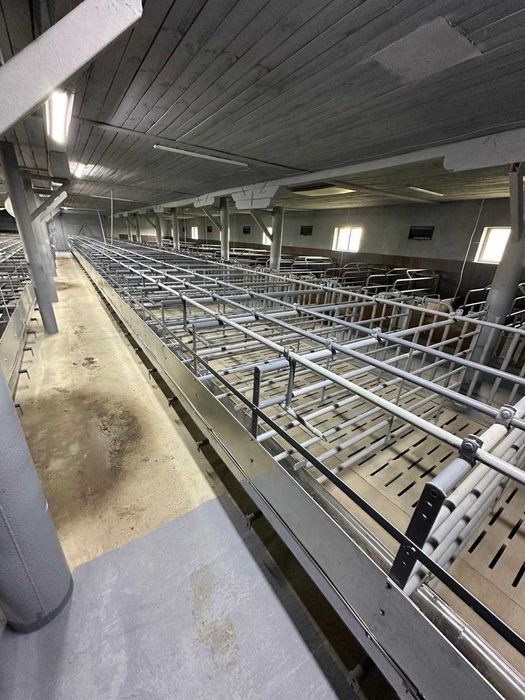 Ферма, господарські будівлі та споруди