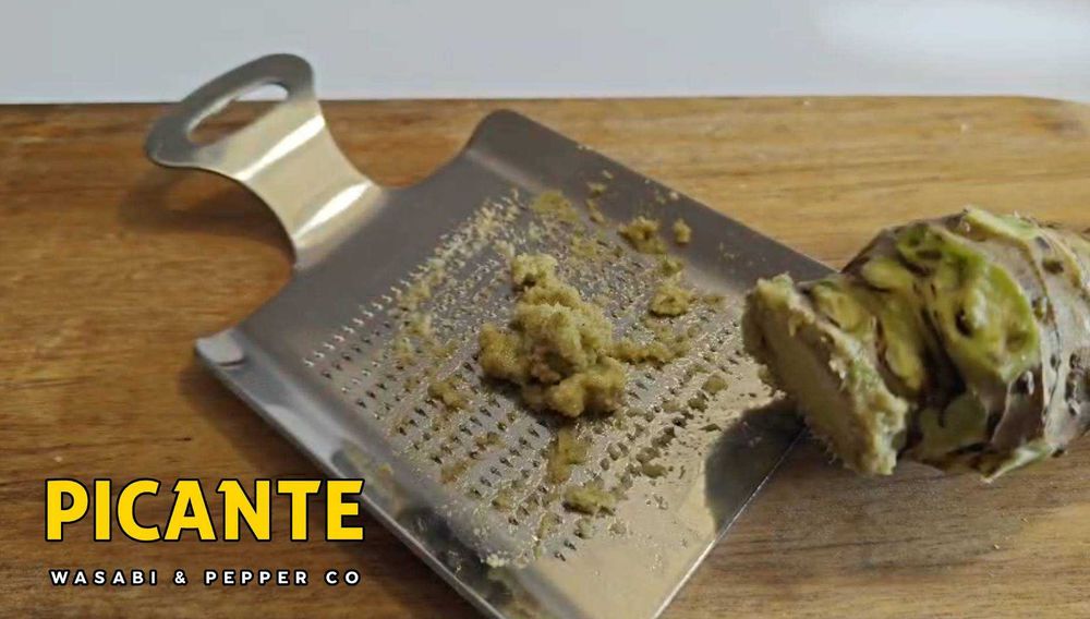 Wasabi Fresco (Rizoma Japonês) — Kit Sushi com Ralador