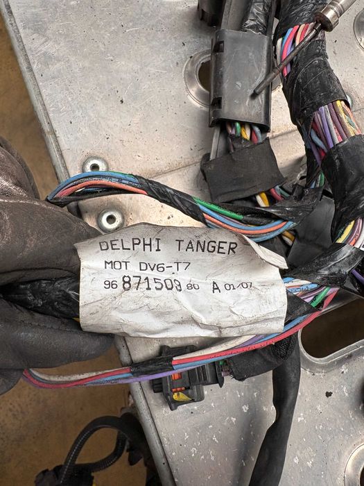 Cablagem do Motor PG 308 de 2010 1.6Hdi Ref:96871.50980