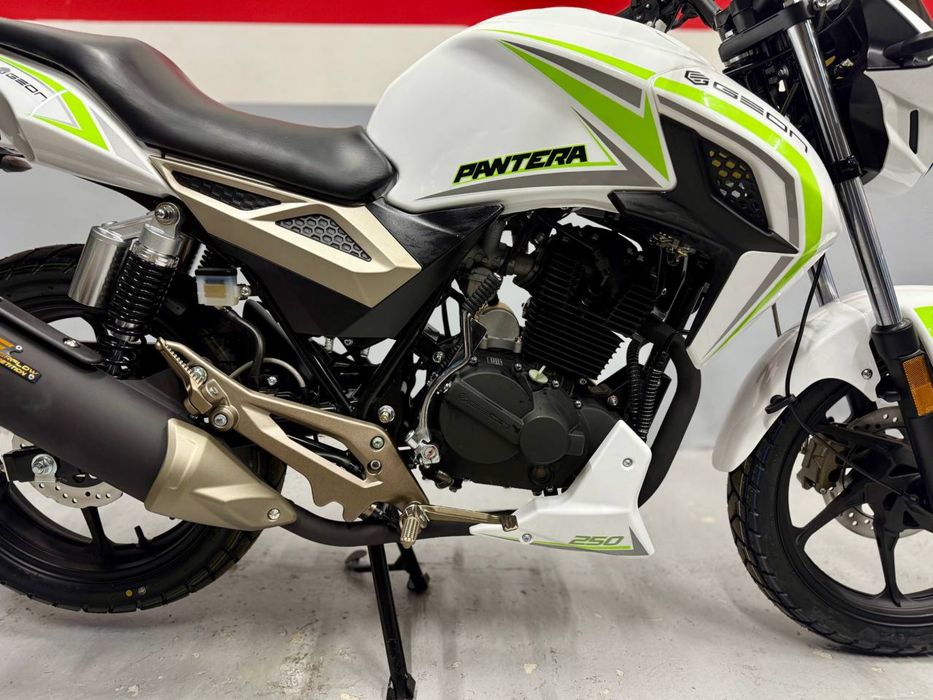 Мотоцикл GEON Pantera 250