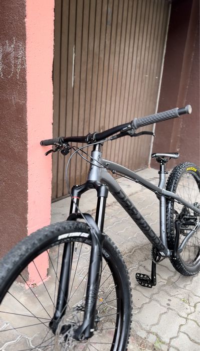 Dartmoor primal intro 29”
