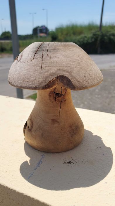 Decoração para jardim ou outro em madeira natural