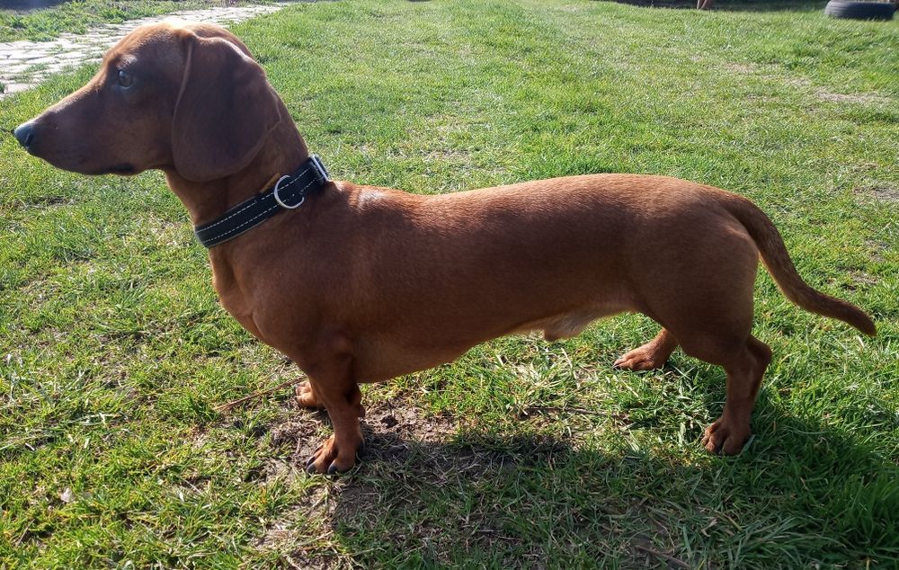 В'язка такси Луцьк