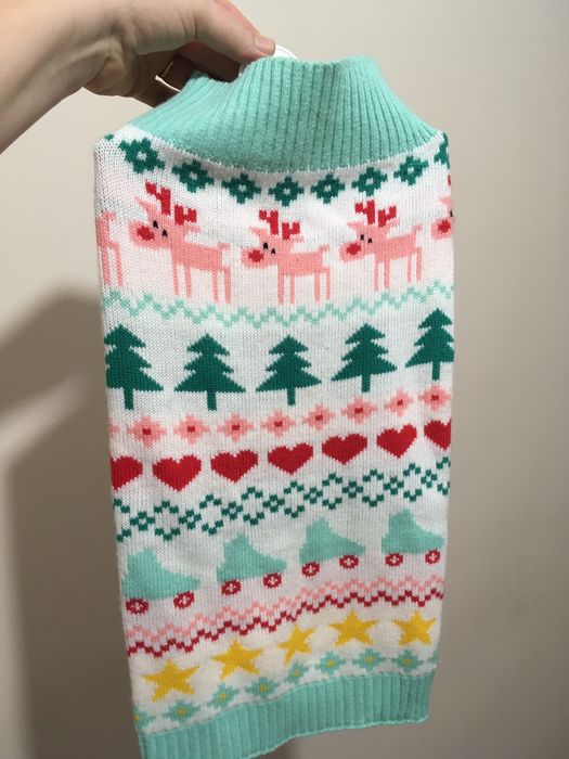 Одежда для собаки.