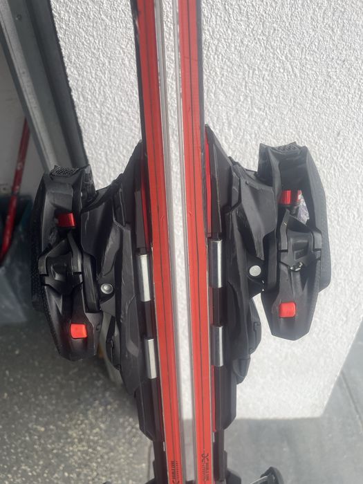 Nordica  dobermann multigara  DC