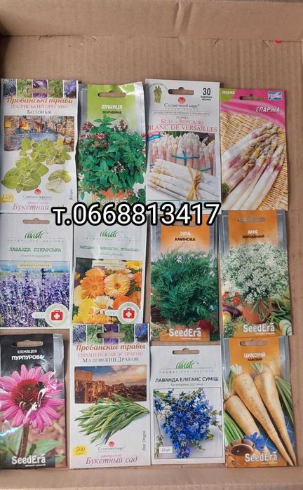 Лікарські рослини Ківано Мелотрія Мамордика Шалфей Лаванда Тархун Чере
