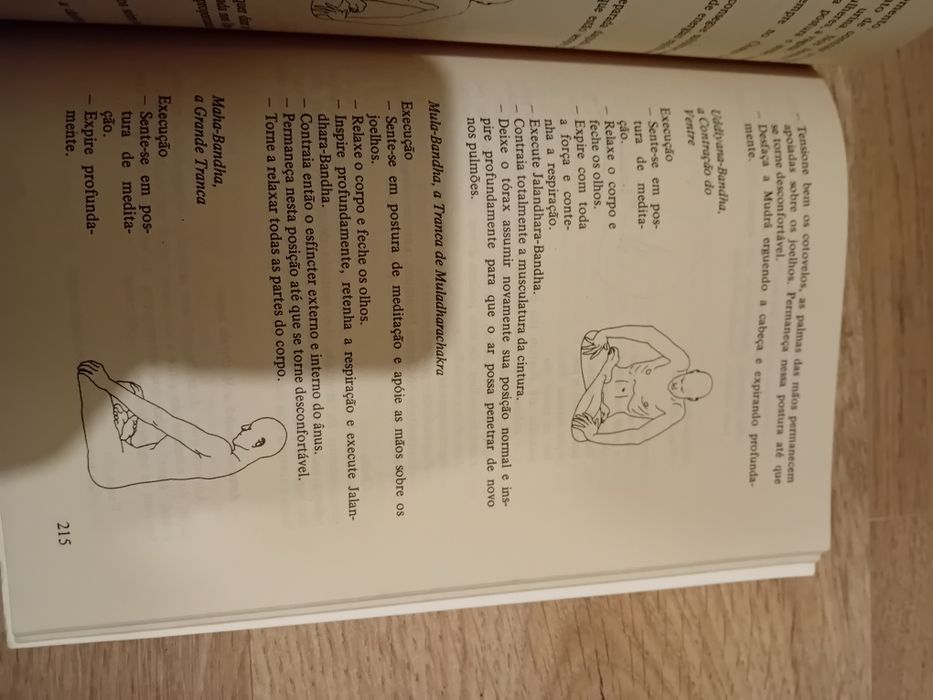 Os Mudras - As Mãos como símbolo Cósmico  Ingrid Ramm-Bonwitt