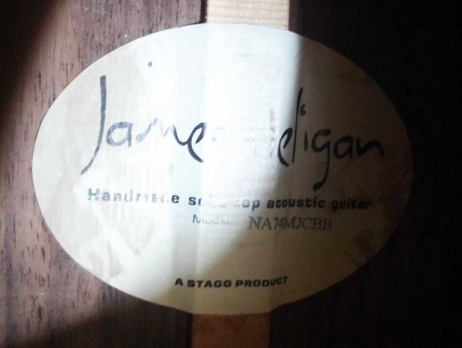 guitarra electroacoustica JAMES NELIGAN