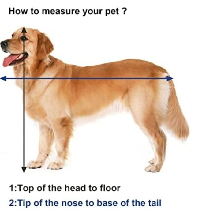 Mala transporte cão/ gato