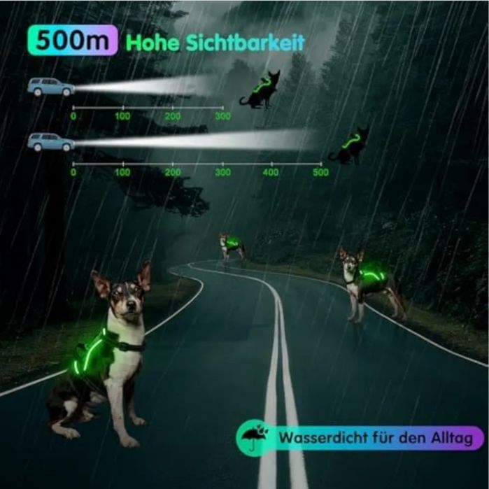 Шлея з підсвічуванням для собак