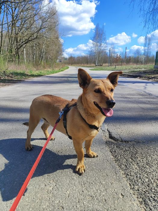 Nadia szuka kochającej rodziny