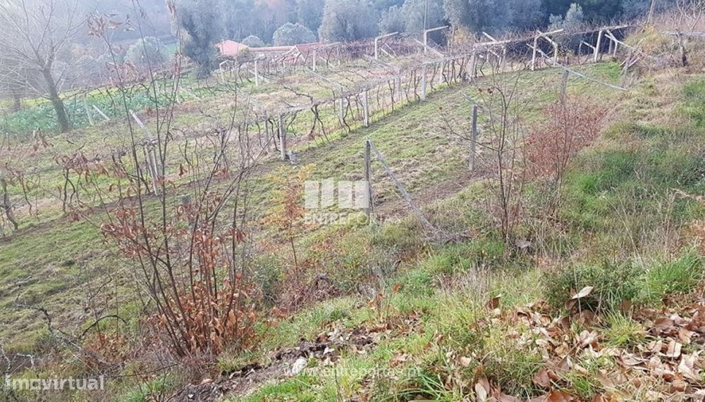 Venda de Terreno, Bárrio, Ponte de Lima — Labruja, Viana do Castelo