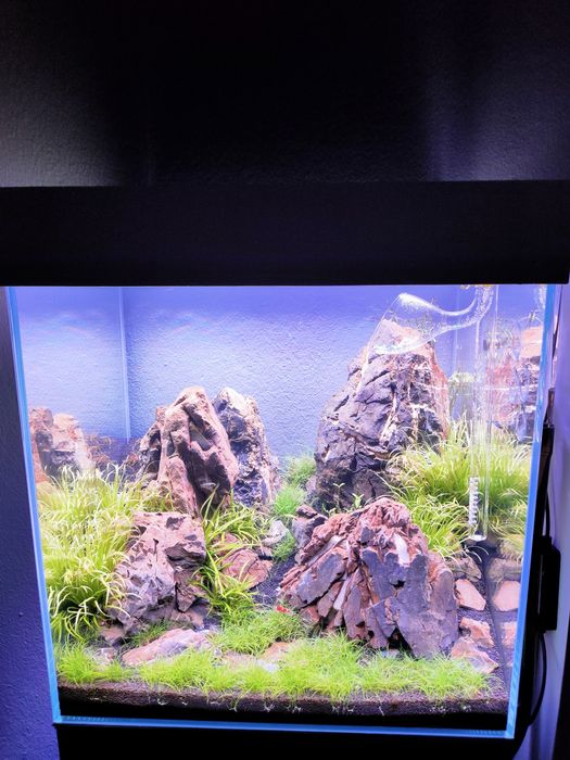 Aquario 45x40x45cm com Movel