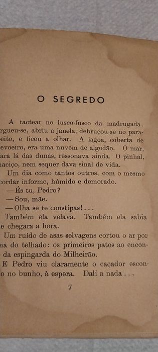 Pedras lavradas, Autor: Miguel Torga, 1951

Editora: Coimbra Editora