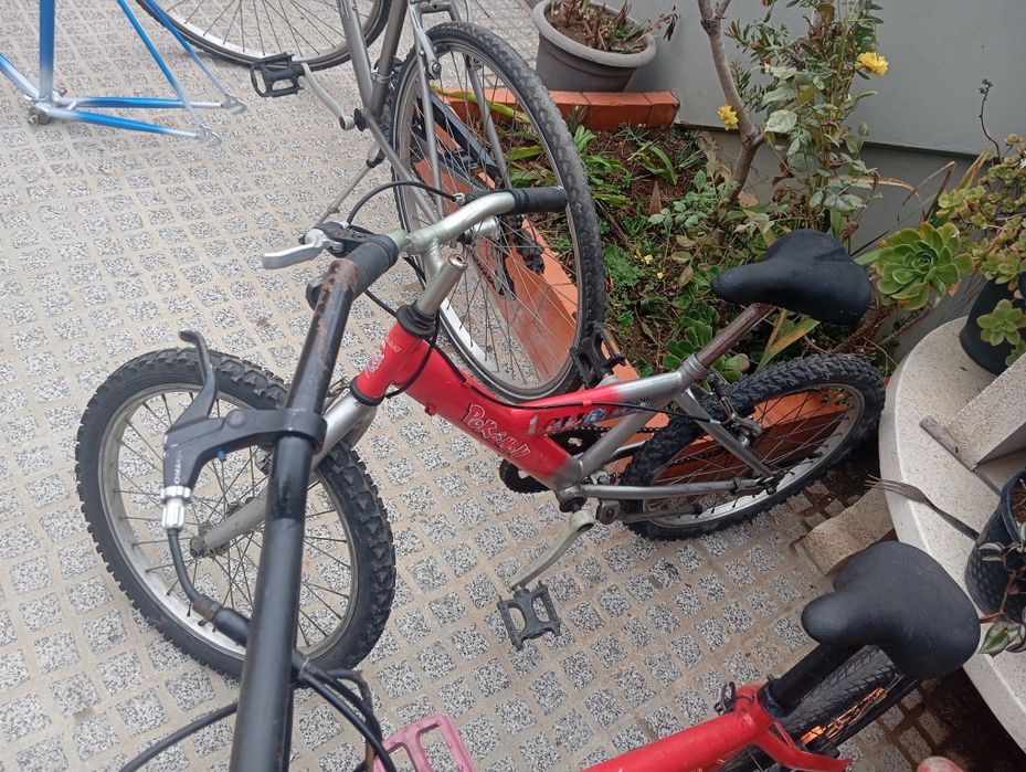 Bicicletas varias