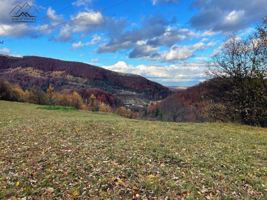 Продаж видової ділянки у с. Шешори 115 сот. Межує з лісом і дорогою
