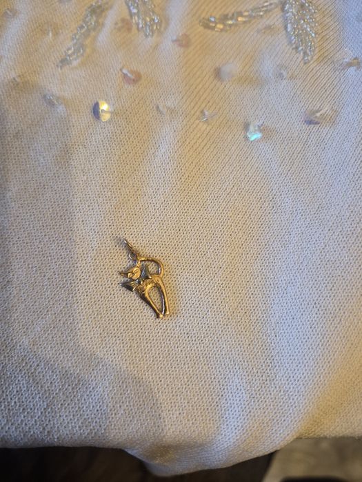 Kot zloty 583 proba ruska