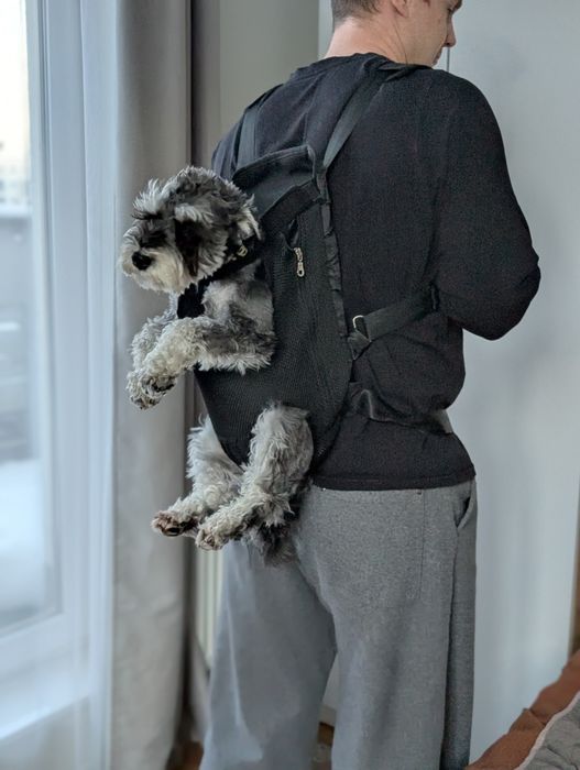 Рюкзак-кенгуру для собаки