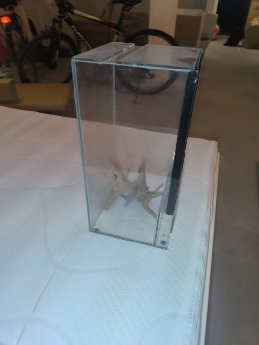 Terrarium 20 x20