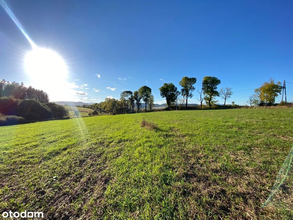 Działka budowlana 1388m2 Krzeszów Kamienna Góra