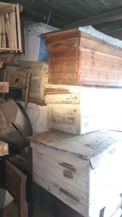 Пасіка Вулики та рамки