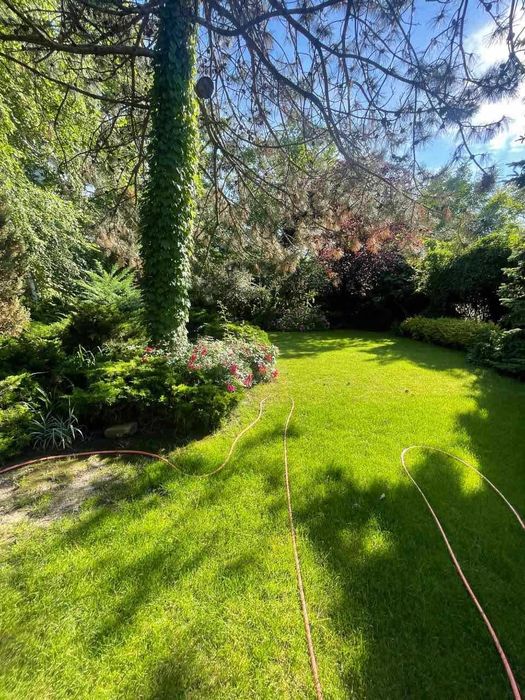 Дом по адресу ул. Спортивная (площадь 550 м²) - Atlanta.ua - фото 5