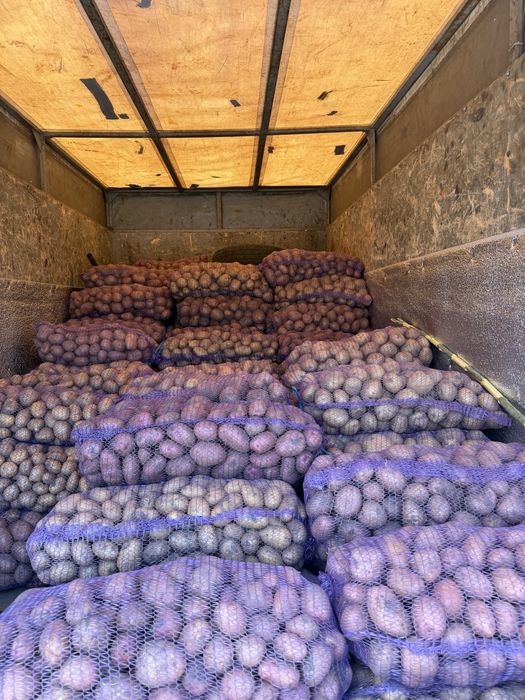 Продам картошку с суммах