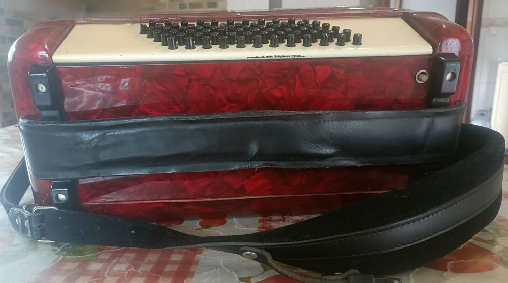 Acordeão Parrot  72 baixos, com caixa,  afinado, com palhetas novas  N