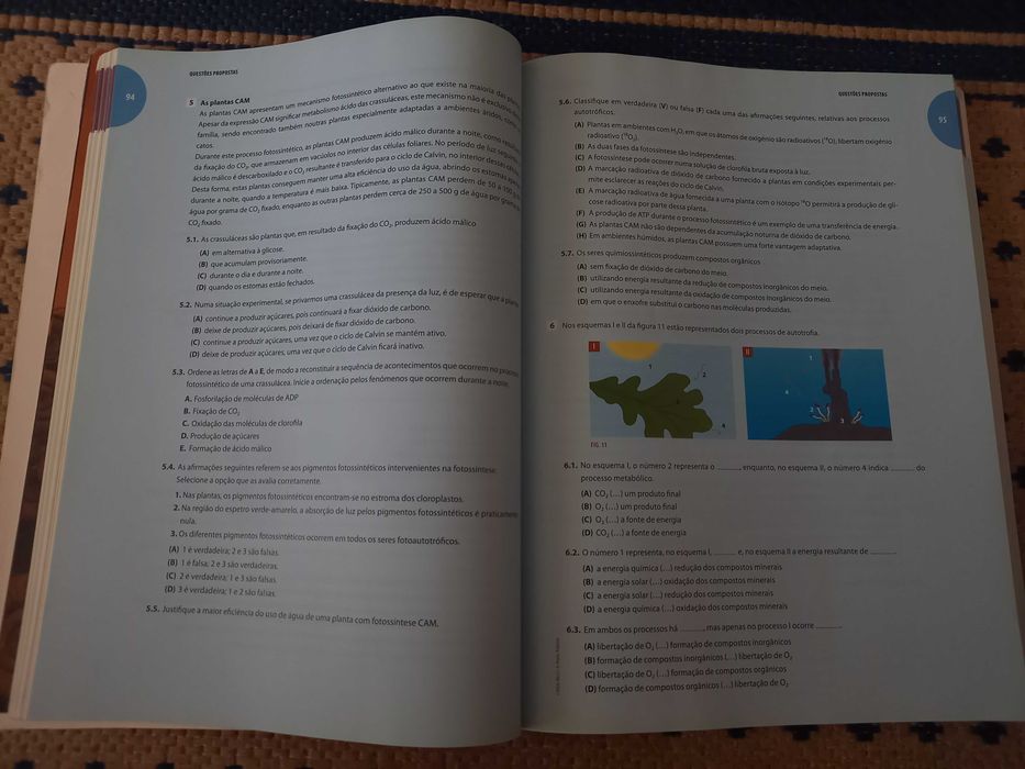 Livro para os exames