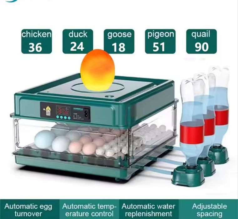 Chocadeira automática 36 ovos