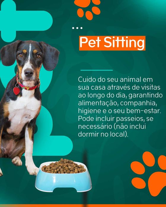 Pet Sitting e Dog Walking466891706854942723