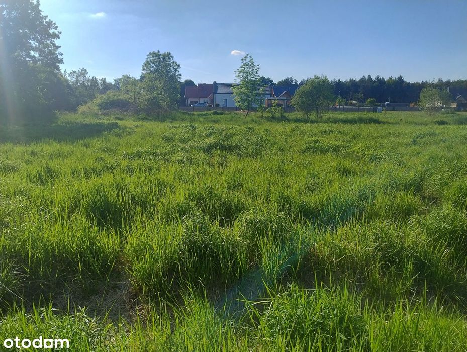Działka pod dom 1000 m² już od 109 tys. MPZP Czerniec