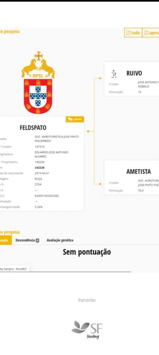 Psl 1.60m Montado e engatado!