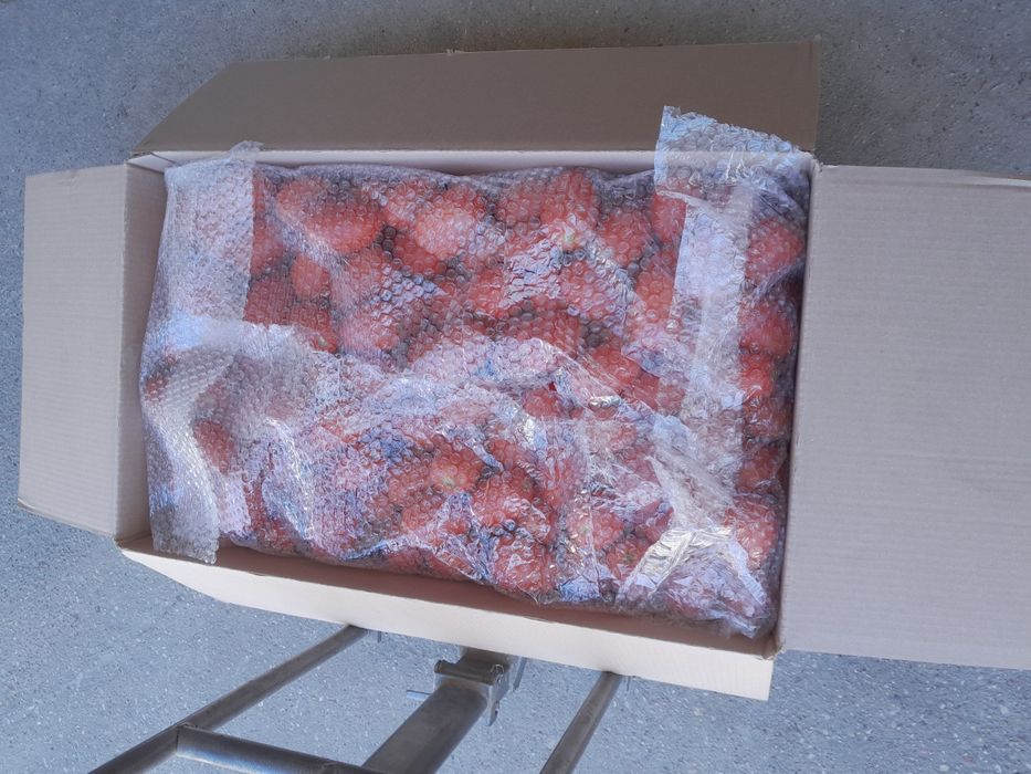 Pomidory na przetwory box 20 kg wysyłka cała Polska
