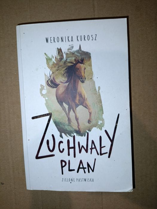 Zuchwały plan książka