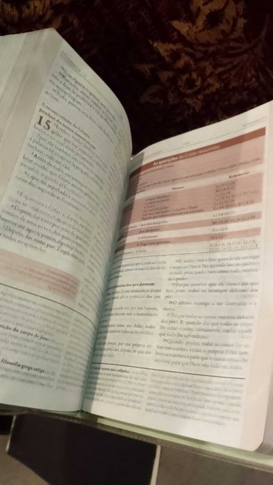 A Bíblia da Mulher - Leitura, Devocional, Estudo