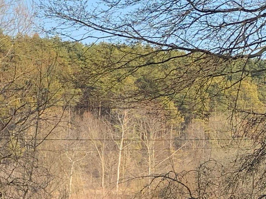 Оренда будинку Рівненська обл. с.Кораблище