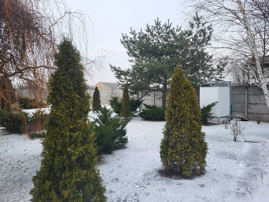 Здається в довгострокову оренду 2х поверховий дім в с. Обухівка