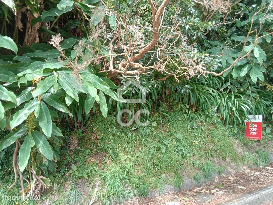 Terreno com 2.090,00 m2 - Santo António Nordestinho - Nordeste