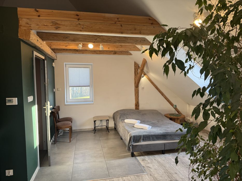 Apartament z jacuzzi dla dwojga Bielsko-Biała