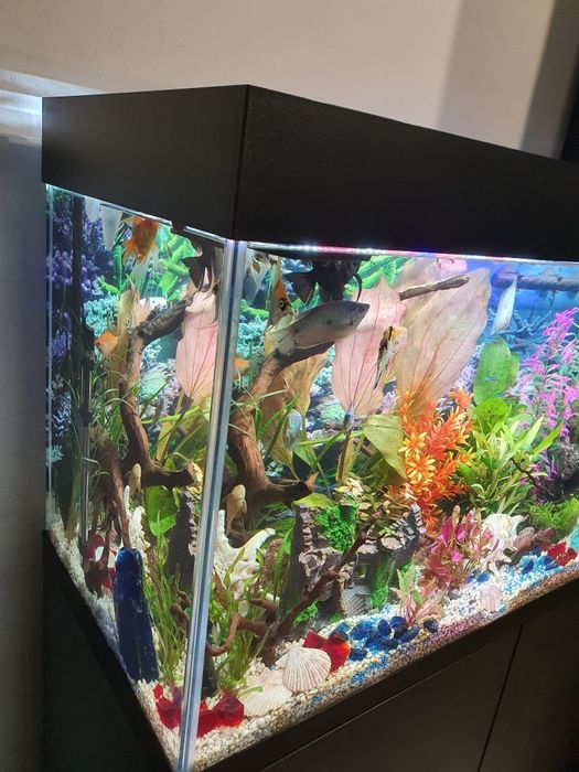 Akwarium Aquel 200l (pokrywa oświetl.)stan idealny + szafka oryginalna