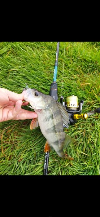 Crazy fish Versus Vsr 762MT