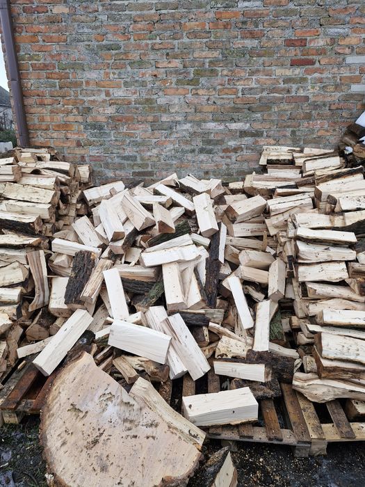 Drewno opałowe klon